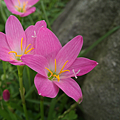 IMG_20150901_145324.png