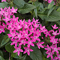 IMG_20150901_145459.png
