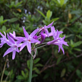 IMG_20150901_150127.png