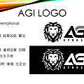 AGI SSD 固態硬碟 (1).png