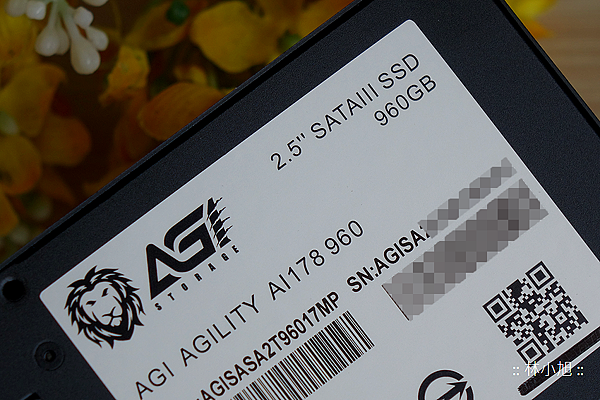 AGI SSD 固態硬碟 960GB 開箱  (8).png