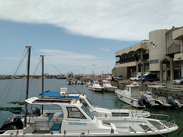 華碩 ASUS ZenFone Max Pro(M1) 大螢幕電力怪獸手機拍照 (ifans 林小旭) (7).png