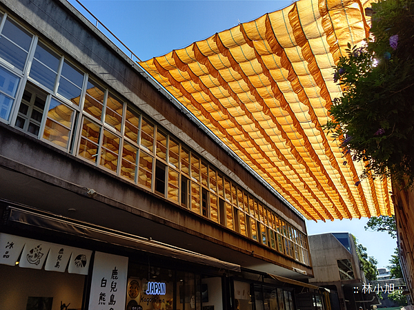 SHARP R3 拍照 (ifans 林小旭) (38).png