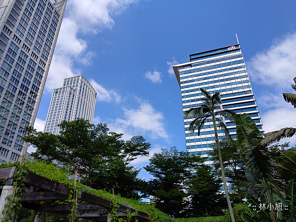 SHARP R3 拍照 (ifans 林小旭) (41).png