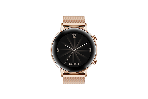 【HUAWEI】HUAWEI WATCH GT 2_42mm_Refined Gold.png