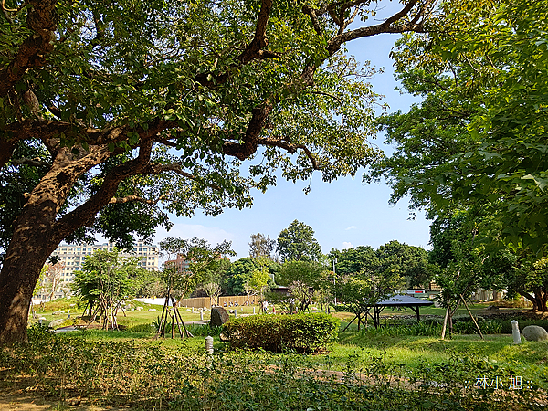 SHARP AQUOS R5G 拍照 (ifans 林小旭) (40).png