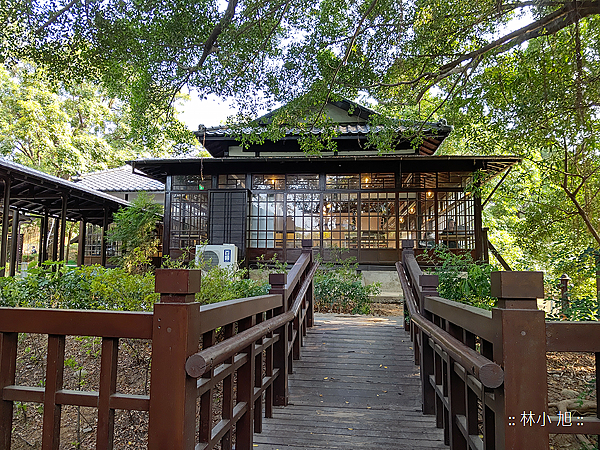 SHARP AQUOS R5G 拍照 (ifans 林小旭) (44).png