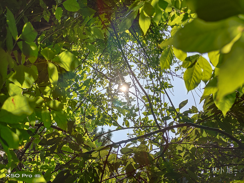 vivo X50 Pro 拍照 (ifans 林小旭) (77).png vivo X50 Pro 拍照 (ifans 林小旭) (77).png