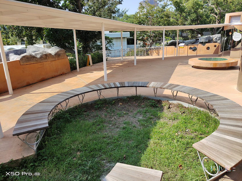 vivo X50 Pro 拍照 (ifans 林小旭) (95).png vivo X50 Pro 拍照 (ifans 林小旭) (95).png