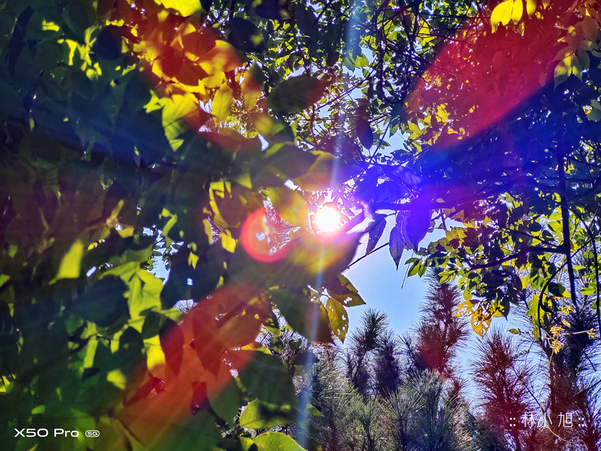 vivo X50 Pro 拍照 (ifans 林小旭) (102).png vivo X50 Pro 拍照 (ifans 林小旭) (102).png