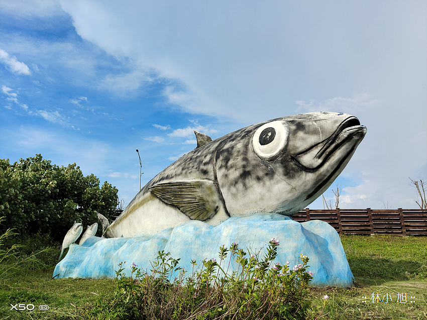 vivo X50 拍照 (ifans 林小旭) (13).png vivo X50 拍照 (ifans 林小旭) (13).png