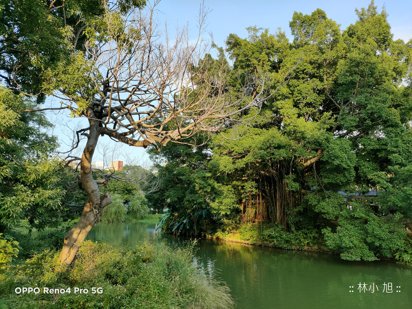 OPPO Reno4 Pro 5G 拍照 (ifans 林小旭) (73).png