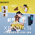 圖說六、Xperia 5 II擁有動物眼即時追蹤對焦功能，精準記錄真情、觸動人心！.png