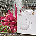 HUAWEI FreeBuds 4i 開箱 (ifans 林小旭) (22).png