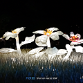 realme narzo 50A 智慧型手機開箱 (ifans 林小旭) (13).png