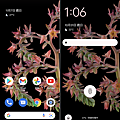 Google Pixel 6 畫面 (林小旭) (19).png