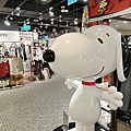 vivo Y76 5G 拍照 (ifans 林小旭) (22).png