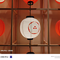 vivo X90 Pro 拍照 (林小旭) (4).png