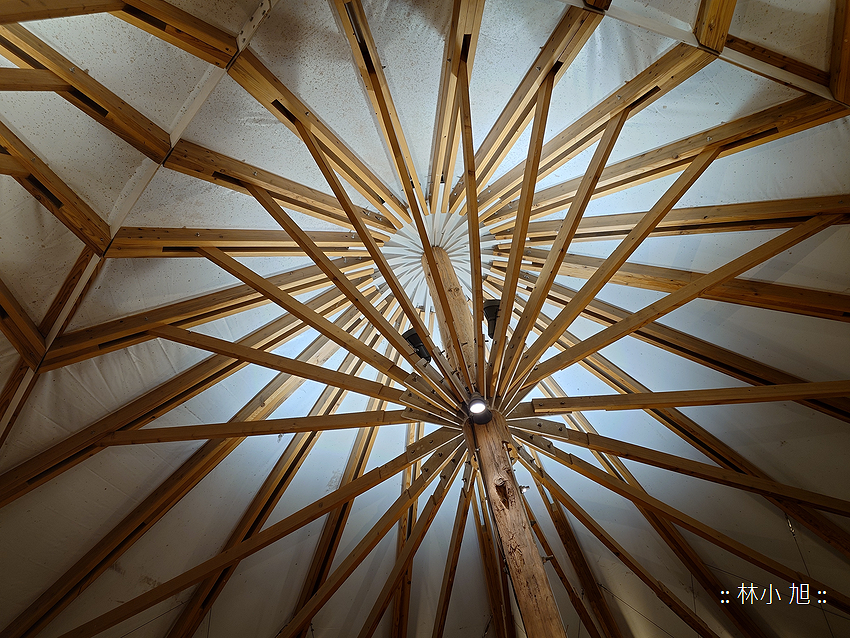 Sony Xperia 1 V 拍照 (林小旭) (55).png