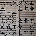 Sony Xperia 1 V 拍照 (林小旭) (66).png