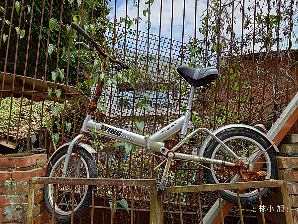 Sony Xperia 1 V 拍照 (林小旭) (73).png