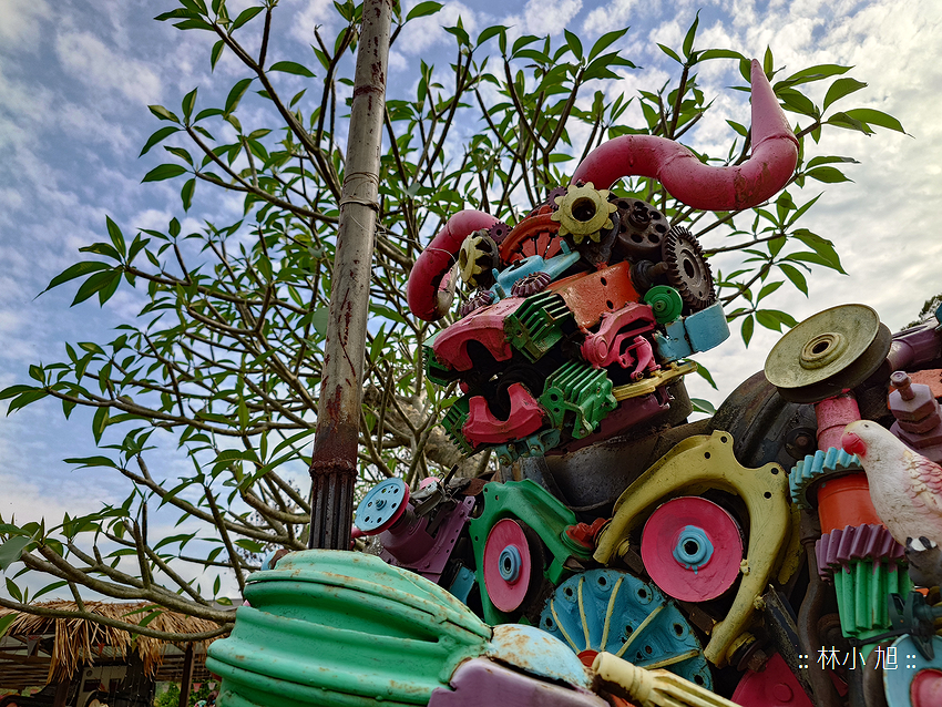 Sony Xperia 1 V 拍照 (林小旭) (105).png