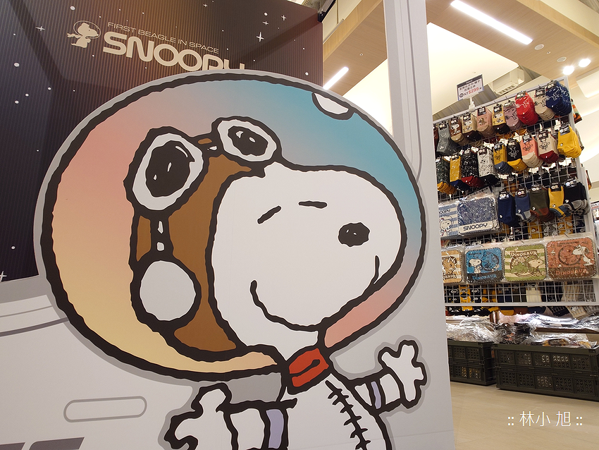 Sony Xperia 1 V 拍照 (林小旭) (130).png