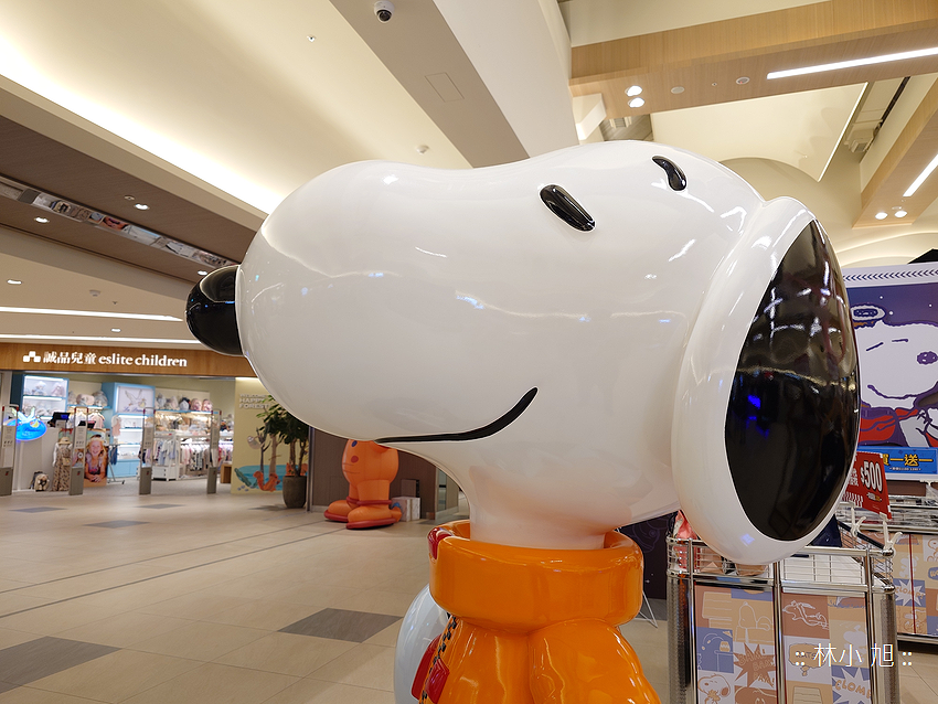 Sony Xperia 1 V 拍照 (林小旭) (137).png