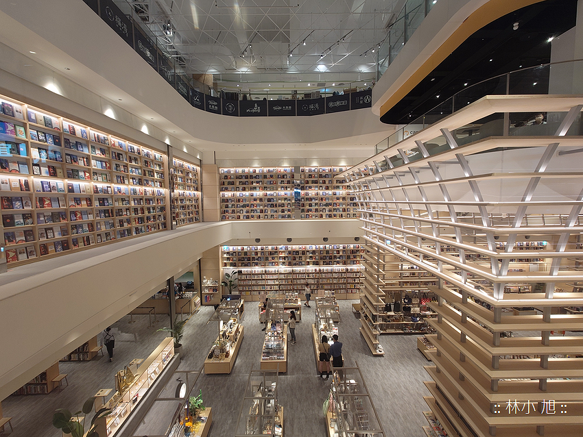 Sony Xperia 1 V 拍照 (林小旭) (163).png