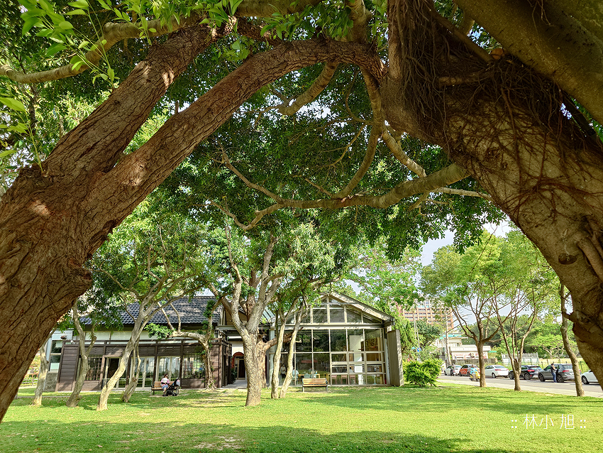 Sony Xperia 1 V 拍照 (林小旭) (1).png