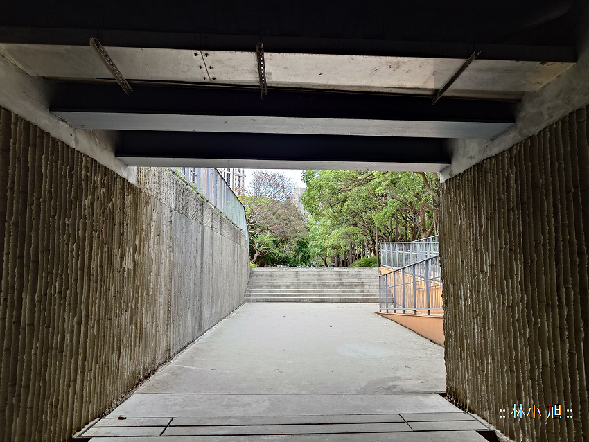 Sony Xperia 1 V 拍照 (林小旭) (4).png