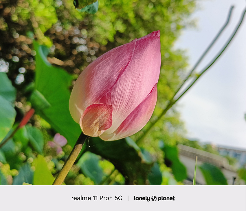 realme 11 Pro+ 5G 拍照 (ifans 林小旭) (312).png