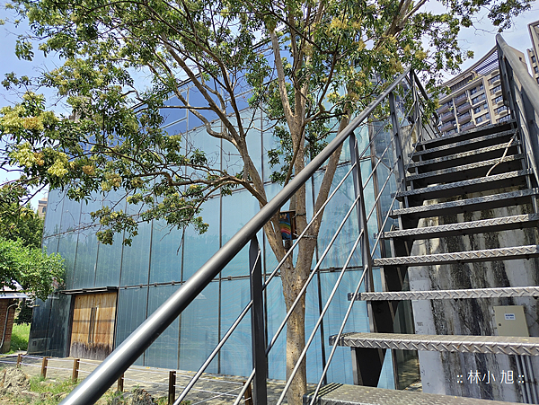 夏普 SHARP AQUOS sense7 plus 智慧型手機拍照 (ifans 林小旭) (72).png