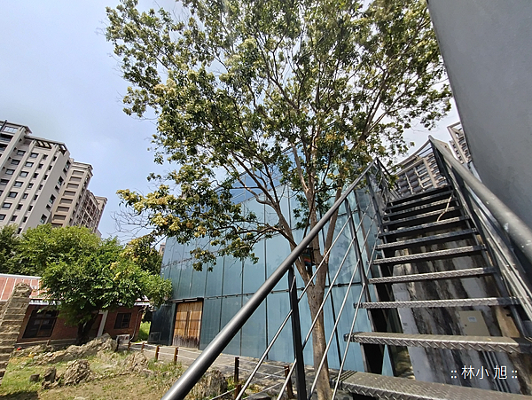 夏普 SHARP AQUOS sense7 plus 智慧型手機拍照 (ifans 林小旭) (73).png