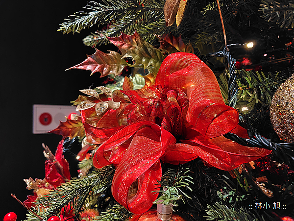 SHARP AQUOS sense8 拍照分享 (ifans 林小旭) (50).png