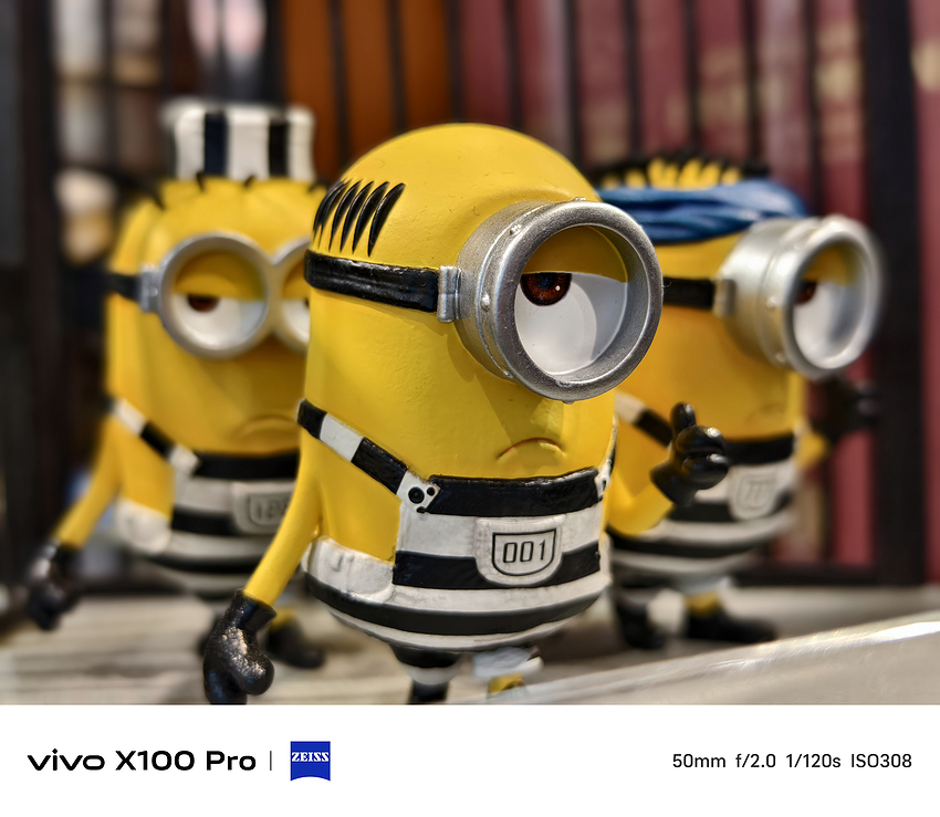 vivo X100 Pro 相機實拍-拍照分享 (ifans 林小旭) (11).png