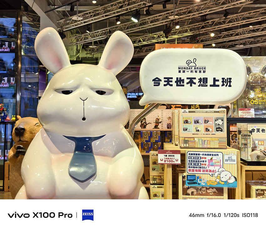 vivo X100 Pro 相機實拍-拍照分享 (ifans 林小旭) (18).png