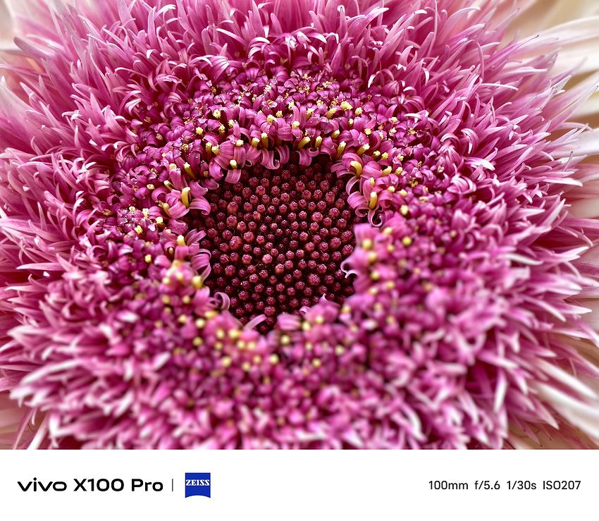 vivo X100 Pro 相機實拍-拍照分享 (ifans 林小旭) (20).png