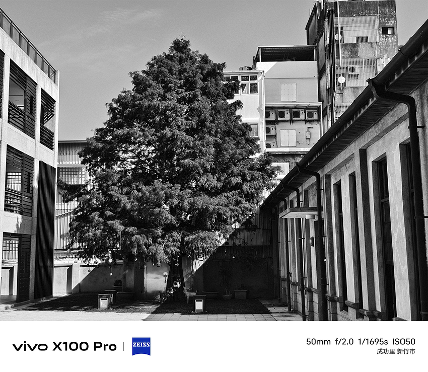 vivo X100 Pro 相機實拍-拍照分享 (ifans 林小旭) (65).png