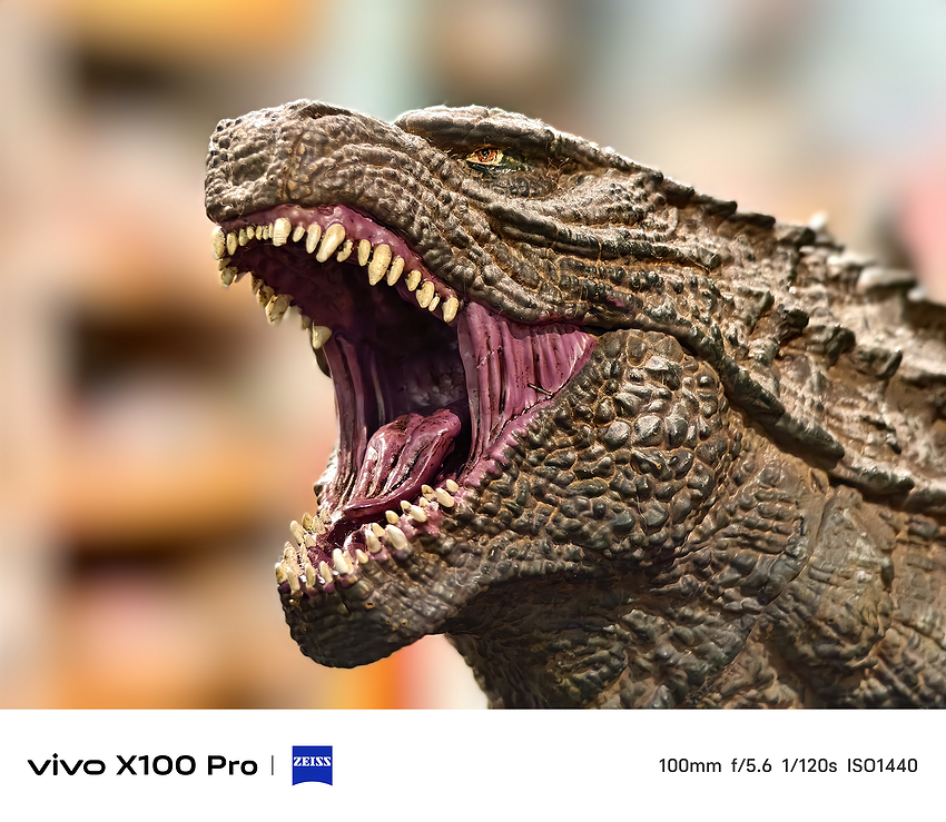 vivo X100 Pro 相機實拍-拍照分享 (ifans 林小旭) (1).png