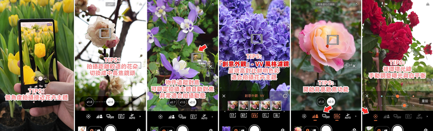 圖說、使用 Xperia 1 V 與 Xperia 5 V 輕鬆拍出質感花卉.png