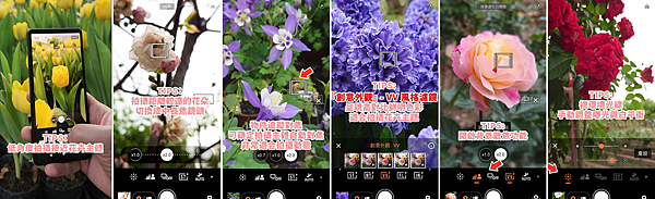 圖說、使用 Xperia 1 V 與 Xperia 5 V 輕鬆拍出質感花卉.png