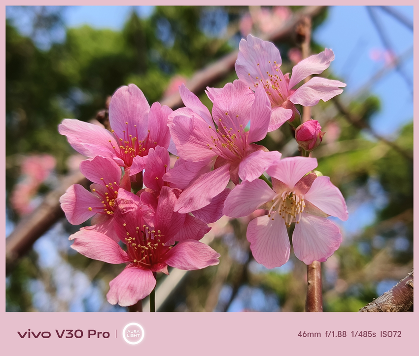 vivo V30 Pro 相機拍照分享 (ifans 林小旭) (72).png