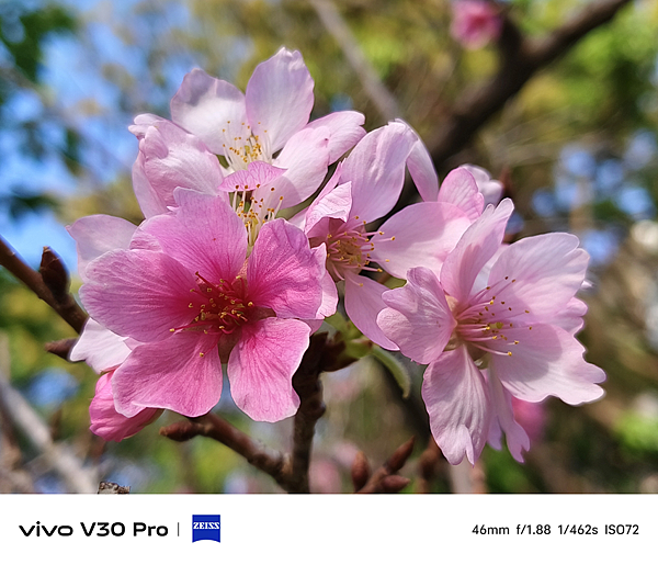 vivo V30 Pro 相機拍照分享 (ifans 林小旭) (73).png