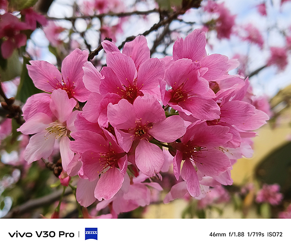 vivo V30 Pro 相機拍照分享 (ifans 林小旭) (74).png