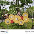 vivo V30 相機拍照分享 (ifans 林小旭) (25).jpg