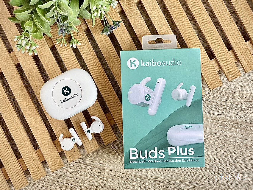 Kaibo Buds Plus 骨傳導真無線藍牙耳機-開箱 (ifans 林小旭) (6).png
