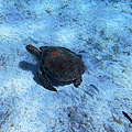 Insta360 Ace Pro 運動相機開箱分享-拍照效果 (ifans 林小旭) (12).png