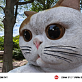 小米 Xiaomi 14T 智慧型手機開箱-相機拍照分享評測心得 (ifans 林小旭) (63).png