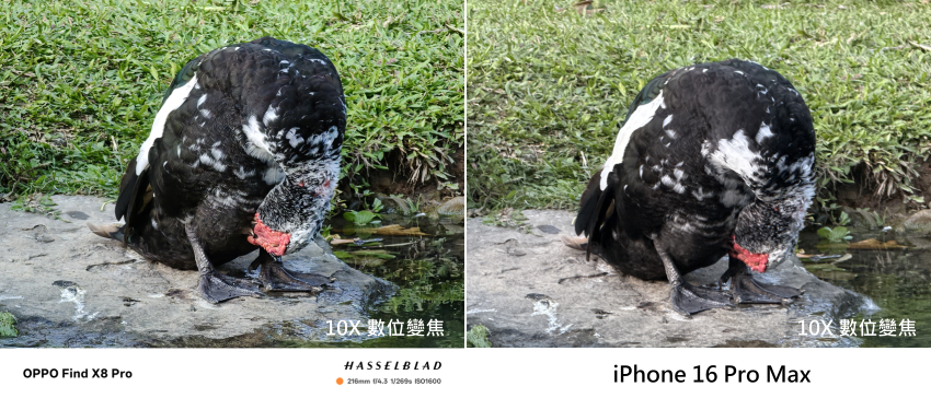 OPPO Find X8 Pro 智慧型手機開箱-相機拍照分享心得-與 iPhone 16 Pro Max 對比 (ifans 林小旭) (8).png